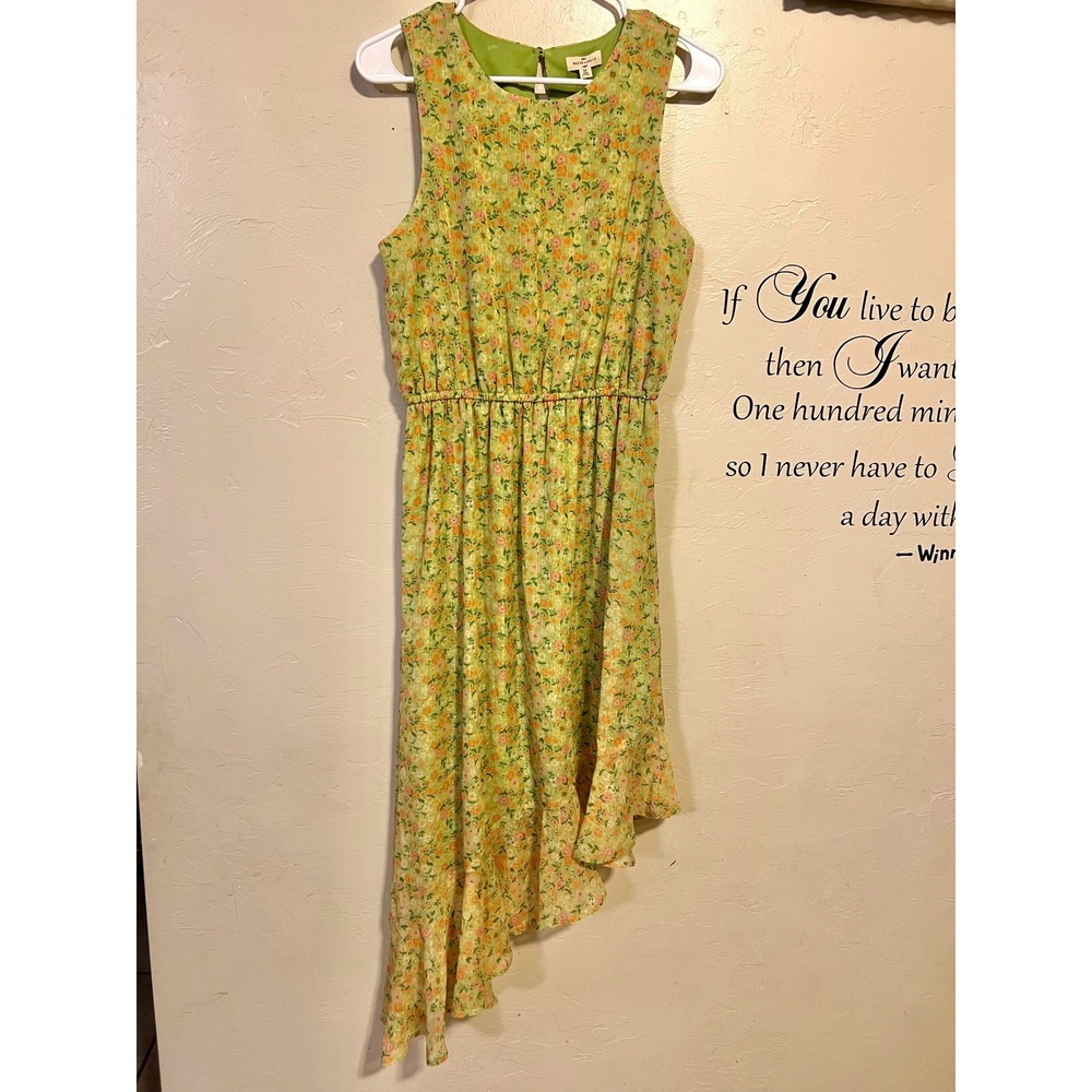 Mason & Belle Floral Asymmetrical Ruffle high low Midi‎ Dress Stitch Fix womenM